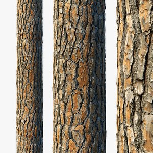 4k Pine Bark Material 03 3D