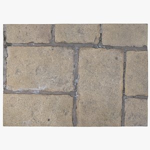 Paving Stones Ground Scan