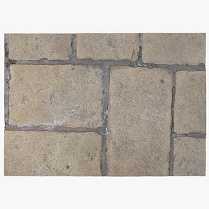 Paving Stones Ground Scan