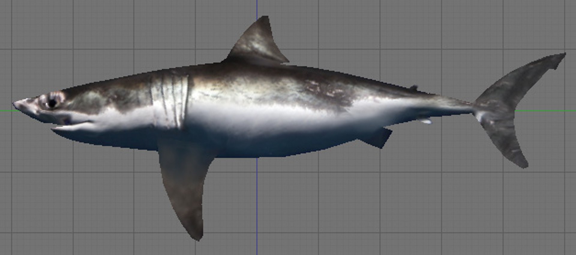 Shark Games 3d Model
