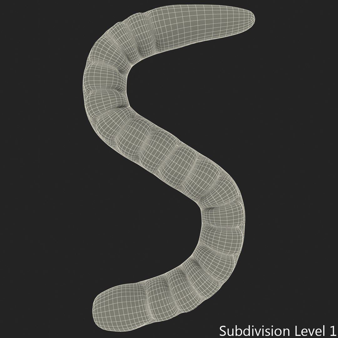 3ds gummy worms https://p.turbosquid.com/ts-thumb/ht/YTZK6R/CgiAEH7h/gummy_worms_subdivision_cage_1/jpg/1410169405/1920x1080/fit_q87/11427f8ca9c63aa270ff50966abdf40351fa854a/gummy_worms_subdivision_cage_1.jpg