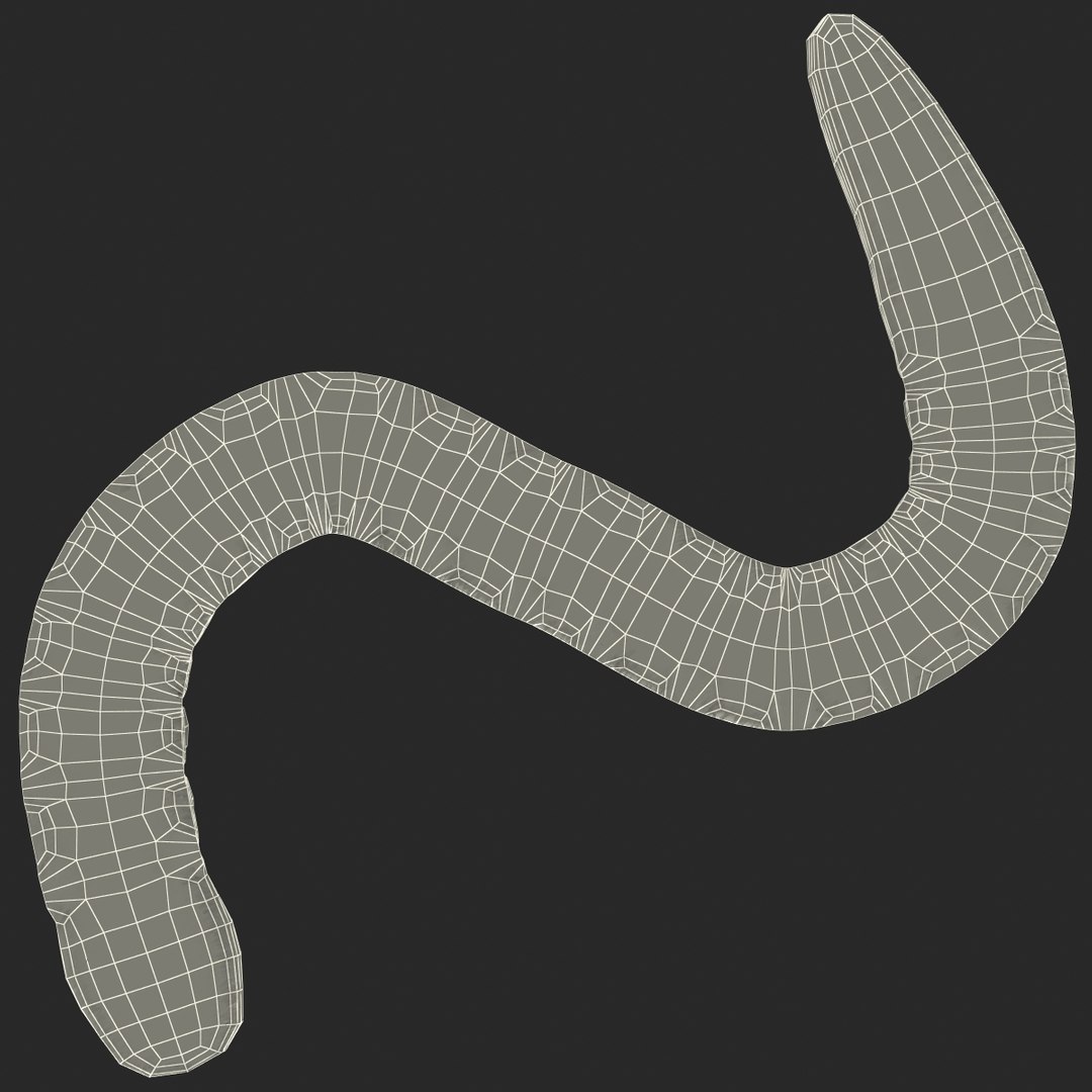 3ds gummy worms https://p.turbosquid.com/ts-thumb/ht/YTZK6R/T9PDkZ7p/gummy_worms_g_006/jpg/1410169377/1920x1080/fit_q87/e28698b3f815b4f9b7970e7ddd50cf9a389c9b4a/gummy_worms_g_006.jpg
