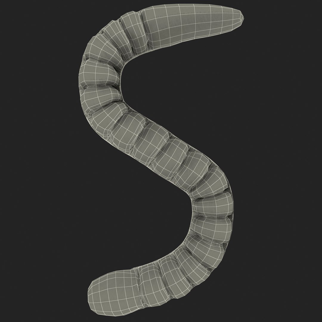 3ds gummy worms https://p.turbosquid.com/ts-thumb/ht/YTZK6R/aBUspMqJ/gummy_worms_g_000/jpg/1410169339/1920x1080/fit_q87/2ad7413e199b78a1469cc08526a9918401423d82/gummy_worms_g_000.jpg