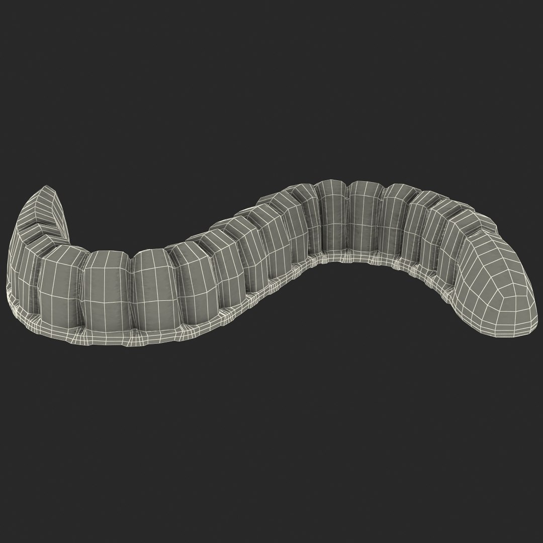 3ds gummy worms https://p.turbosquid.com/ts-thumb/ht/YTZK6R/bl0JW5iu/gummy_worms_g_002/jpg/1410169345/1920x1080/fit_q87/007828ce2c059b34105b860bf114bc63b817e970/gummy_worms_g_002.jpg