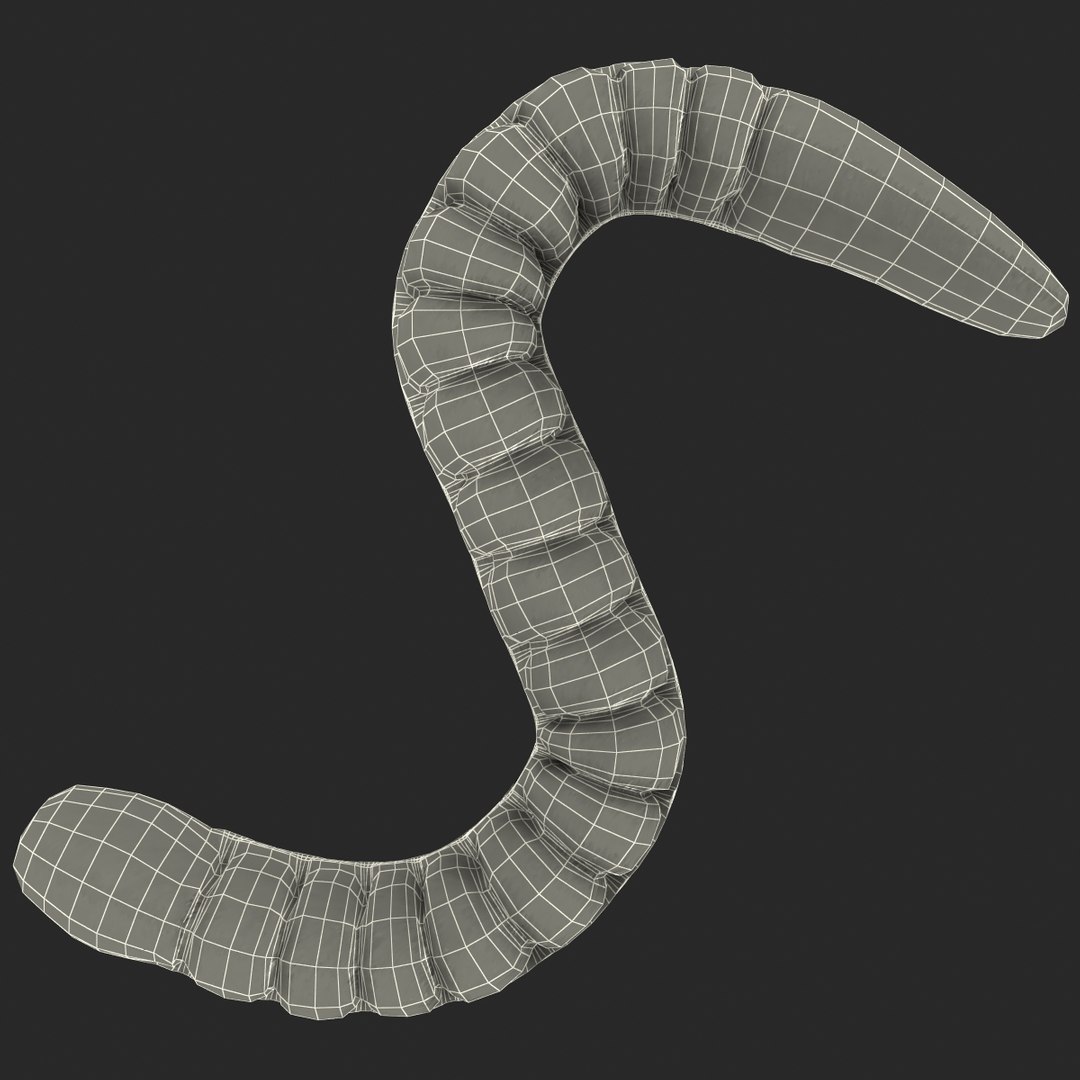 3ds gummy worms https://p.turbosquid.com/ts-thumb/ht/YTZK6R/d2dlpLD6/gummy_worms_g_005/jpg/1410169341/1920x1080/fit_q87/4653efd34a6baad382f5b07a3e7cf63b9dc2a59f/gummy_worms_g_005.jpg