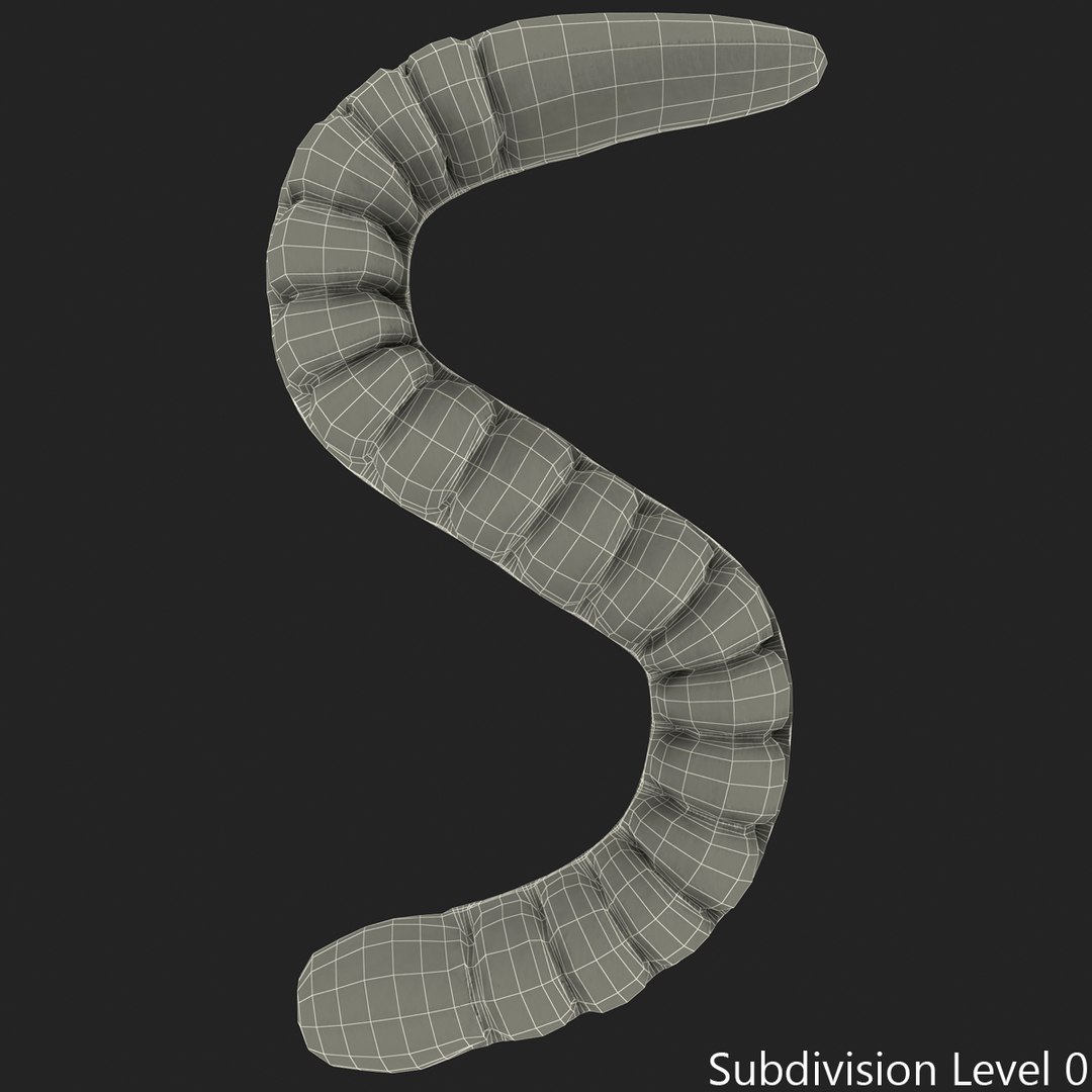 3ds gummy worms https://p.turbosquid.com/ts-thumb/ht/YTZK6R/vO8pPDjg/gummy_worms_subdivision_cage_0/jpg/1410169394/1920x1080/fit_q87/0307df3731e77f2b710b67b8f23dd8785fda2b57/gummy_worms_subdivision_cage_0.jpg
