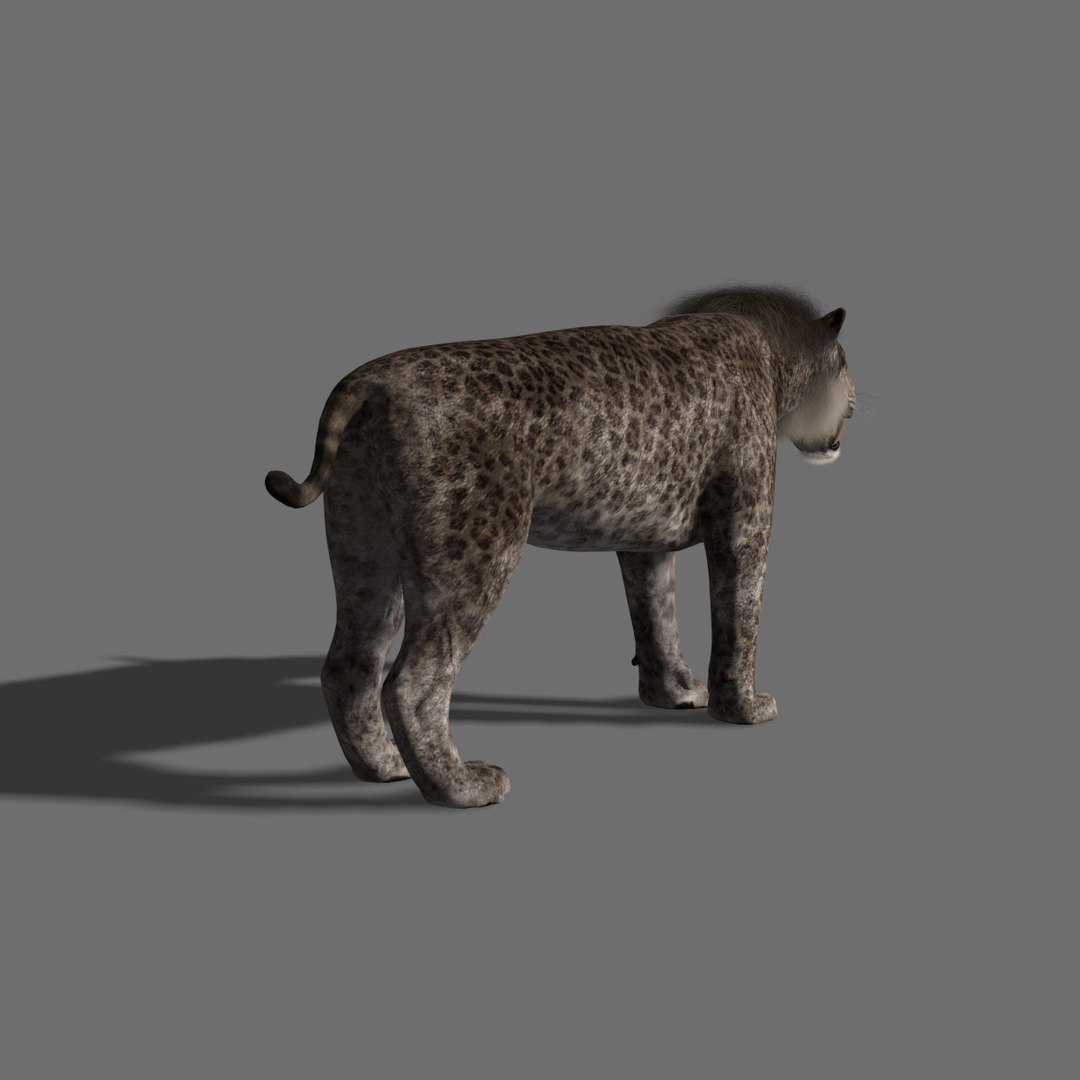 3D model female sabretooth - animation - TurboSquid 1361962