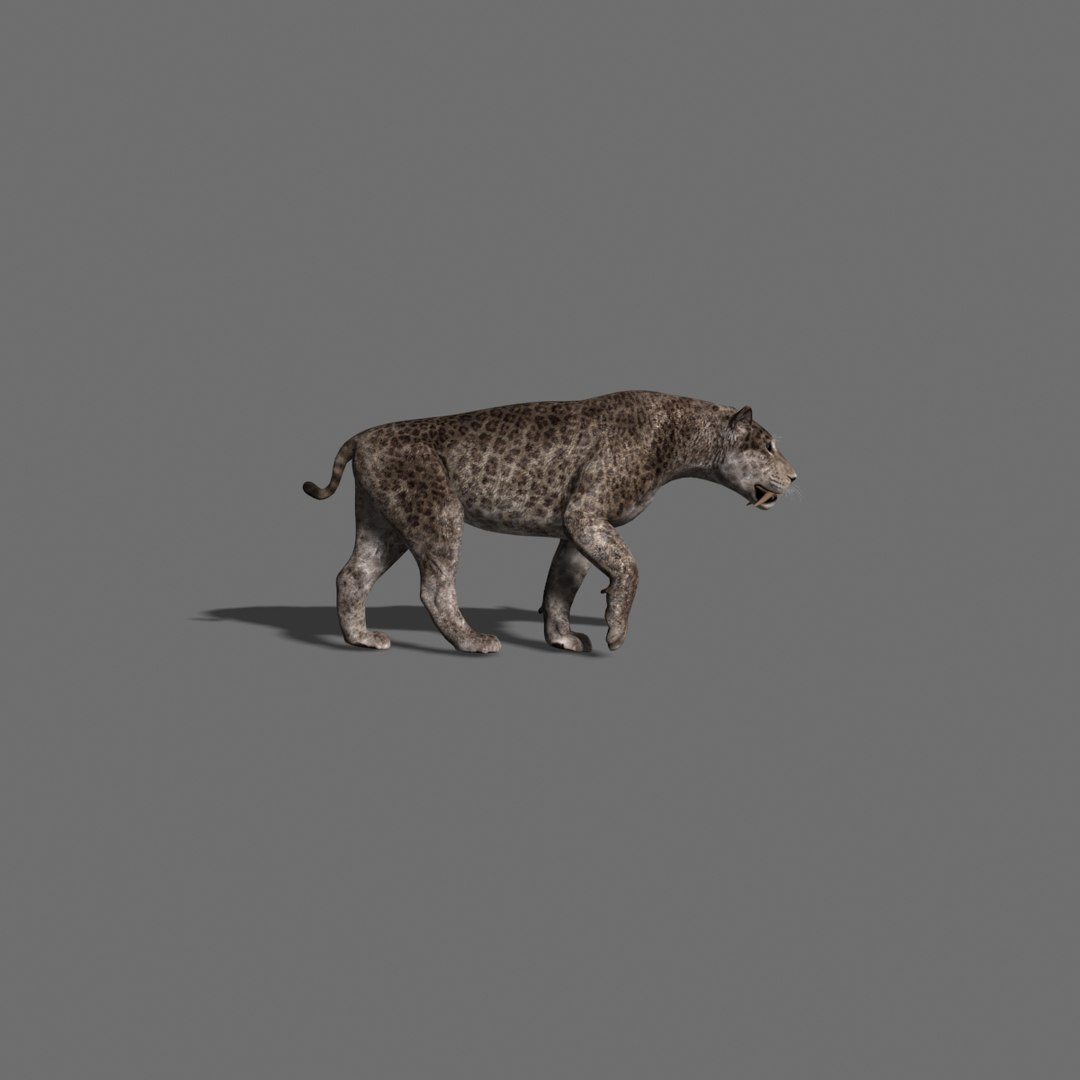 3D Model Female Sabretooth - Animation - TurboSquid 1361962