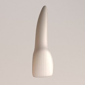 3d model lateral incisor