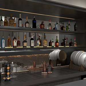 Party in Private Home Bar