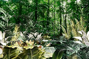 Set of plant tropic 8 3D model