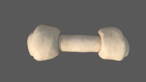 3D model DOG BONE