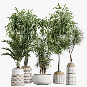 AV Indoor Plants Set 379 Ficus Marginata and Yucca Palm and Kentia Everlasting and Ficus Binnendijki 3D model