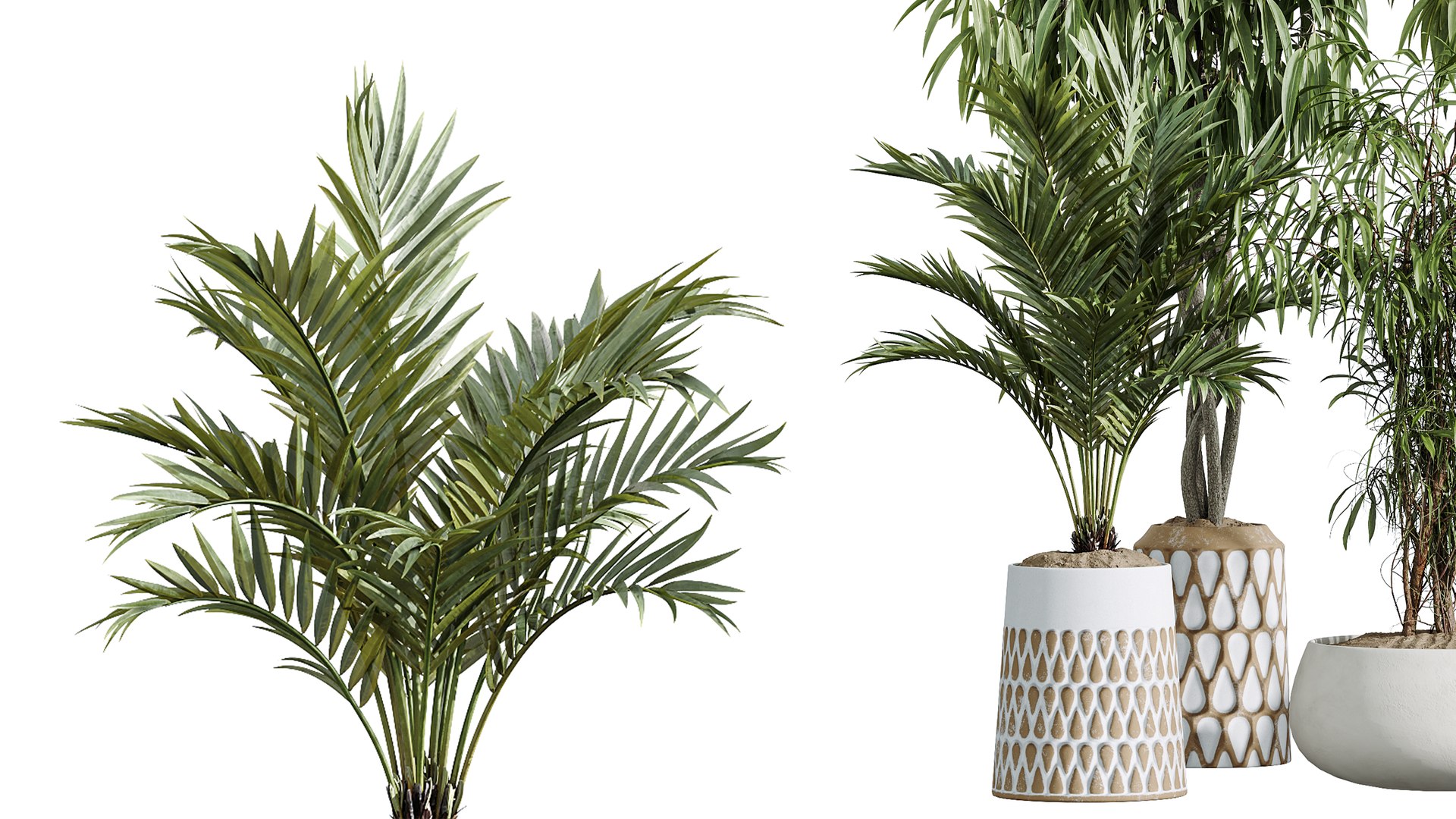 AV Indoor Plants Set 379 Ficus Marginata and Yucca Palm and Kentia Everlasting and Ficus Binnendijki 3D model https://p.turbosquid.com/ts-thumb/hu/83Qerm/tb/04/png/1759825621/1920x1080/fit_q87/2fd64669f333db1fbb58c542dfa263f04080dfdd/04.jpg