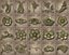 Ornamental Vol 07