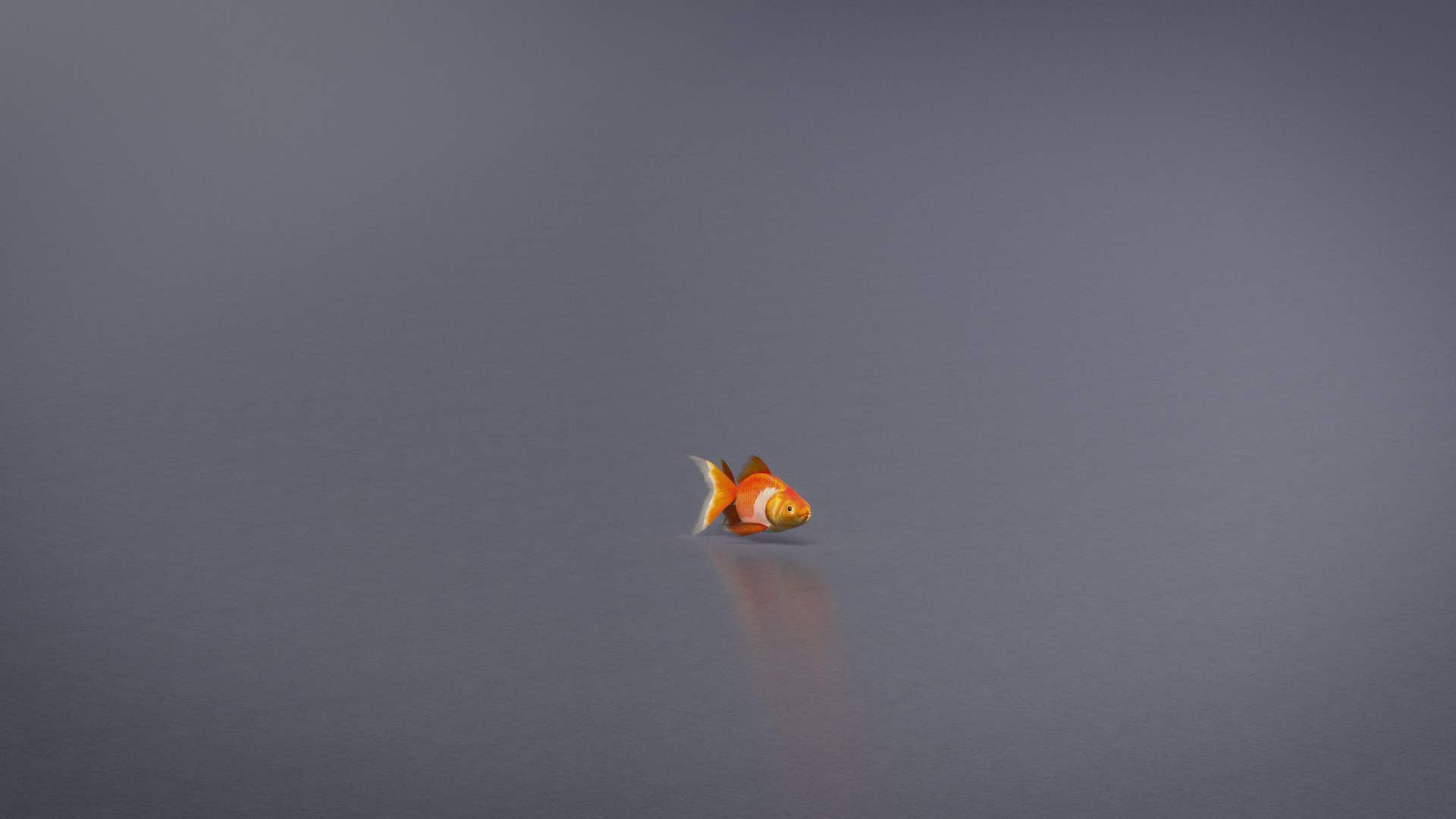 3D GoldFish https://p.turbosquid.com/ts-thumb/hu/KofwCH/jU/gold_fish_cmp_v001_1920_nologo_0002/jpg/1725250955/1920x1080/fit_q87/0f8ea699fc1c5f1c6dd1593f701c5743b0e2052c/gold_fish_cmp_v001_1920_nologo_0002.jpg