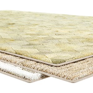 Carpet Art for Interior 53 3D model