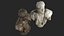 Classical Bust Collection 3D model
