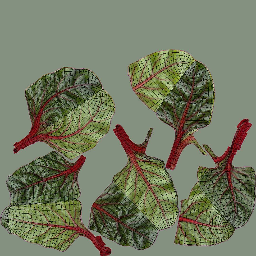 3D Chard model https://p.turbosquid.com/ts-thumb/hv/5fzSTW/0w/chard2/jpg/1768518493/1920x1080/fit_q87/d10cc32c959360ab053521d7b24379ffdc271959/chard2.jpg
