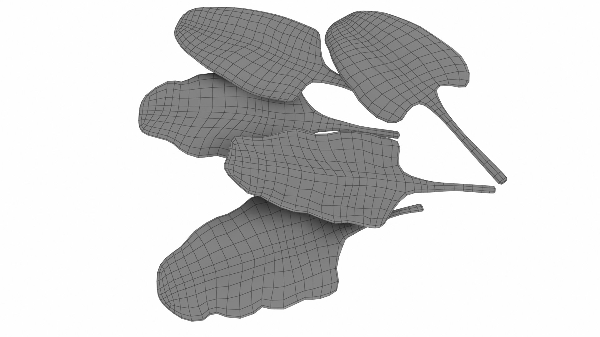 3D Chard model https://p.turbosquid.com/ts-thumb/hv/5fzSTW/2O/chard15/jpg/1768518353/1920x1080/fit_q87/847096655ebdefc52550412ae030ef60747afb3b/chard15.jpg