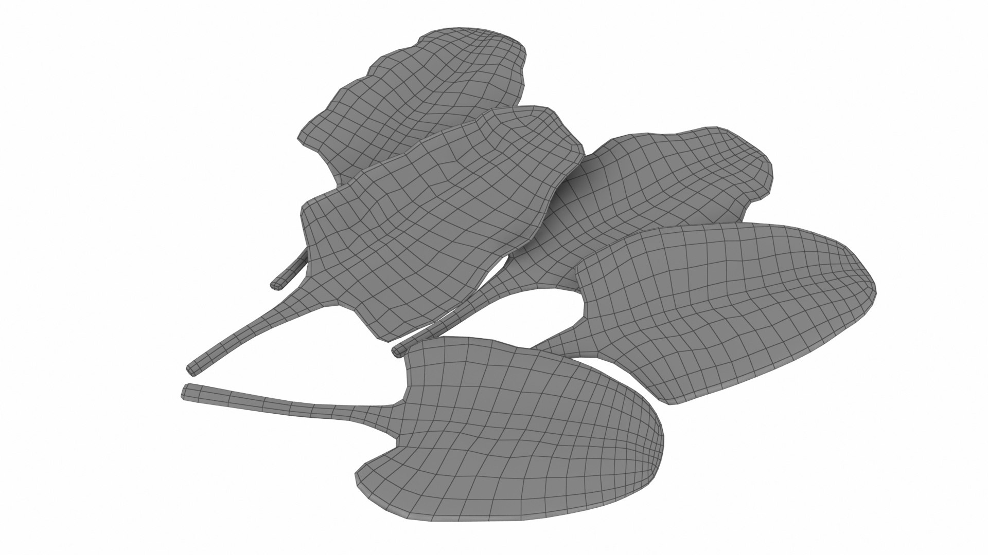 3D Chard model https://p.turbosquid.com/ts-thumb/hv/5fzSTW/AV/chard14/jpg/1768518353/1920x1080/fit_q87/233b999aea714ce52d7add57a4a1ebab71e1e890/chard14.jpg