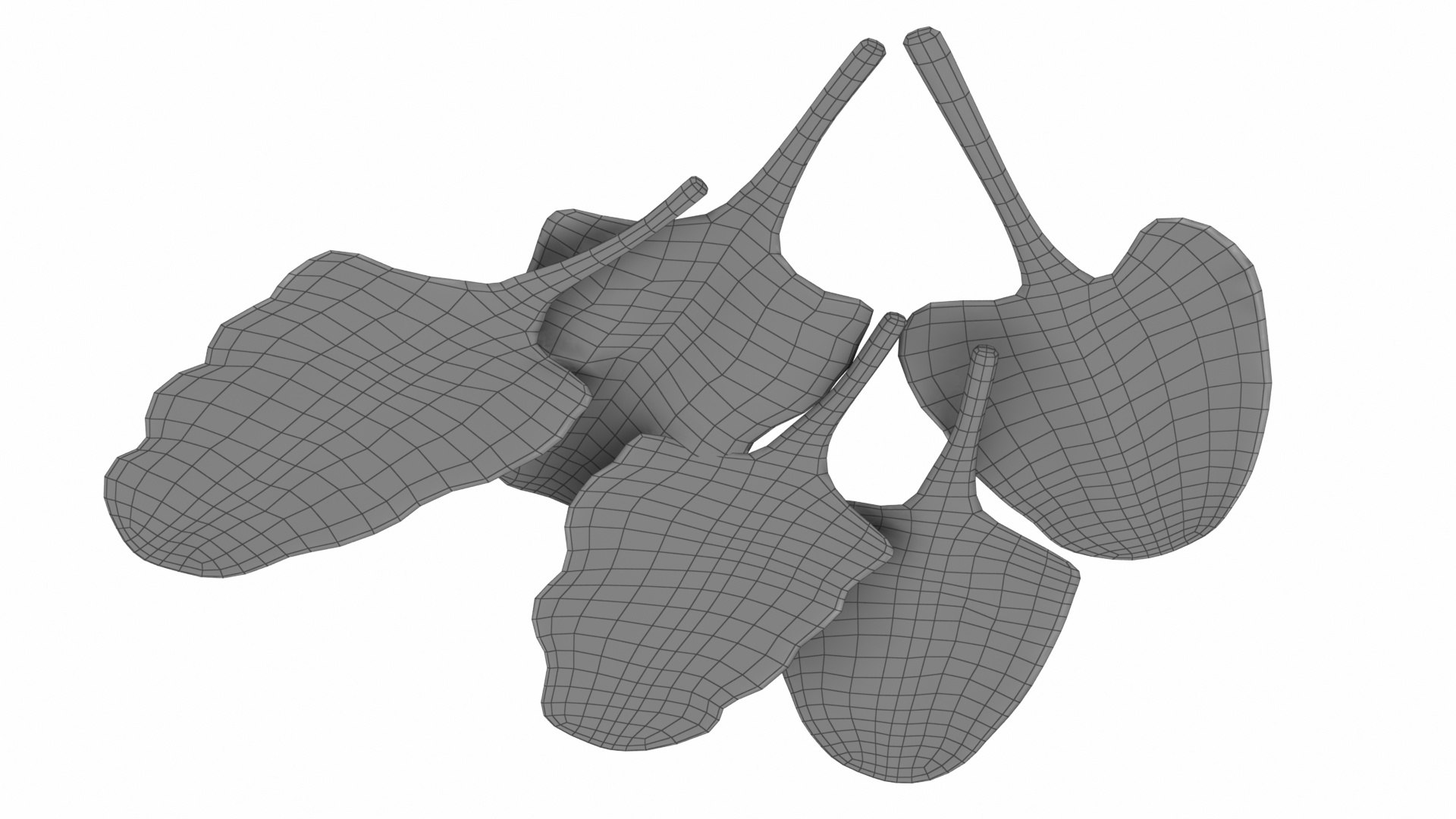 3D Chard model https://p.turbosquid.com/ts-thumb/hv/5fzSTW/Cj/chard10/jpg/1768518351/1920x1080/fit_q87/28f75323ed871cda5a7bcaea4d359154240a40c2/chard10.jpg