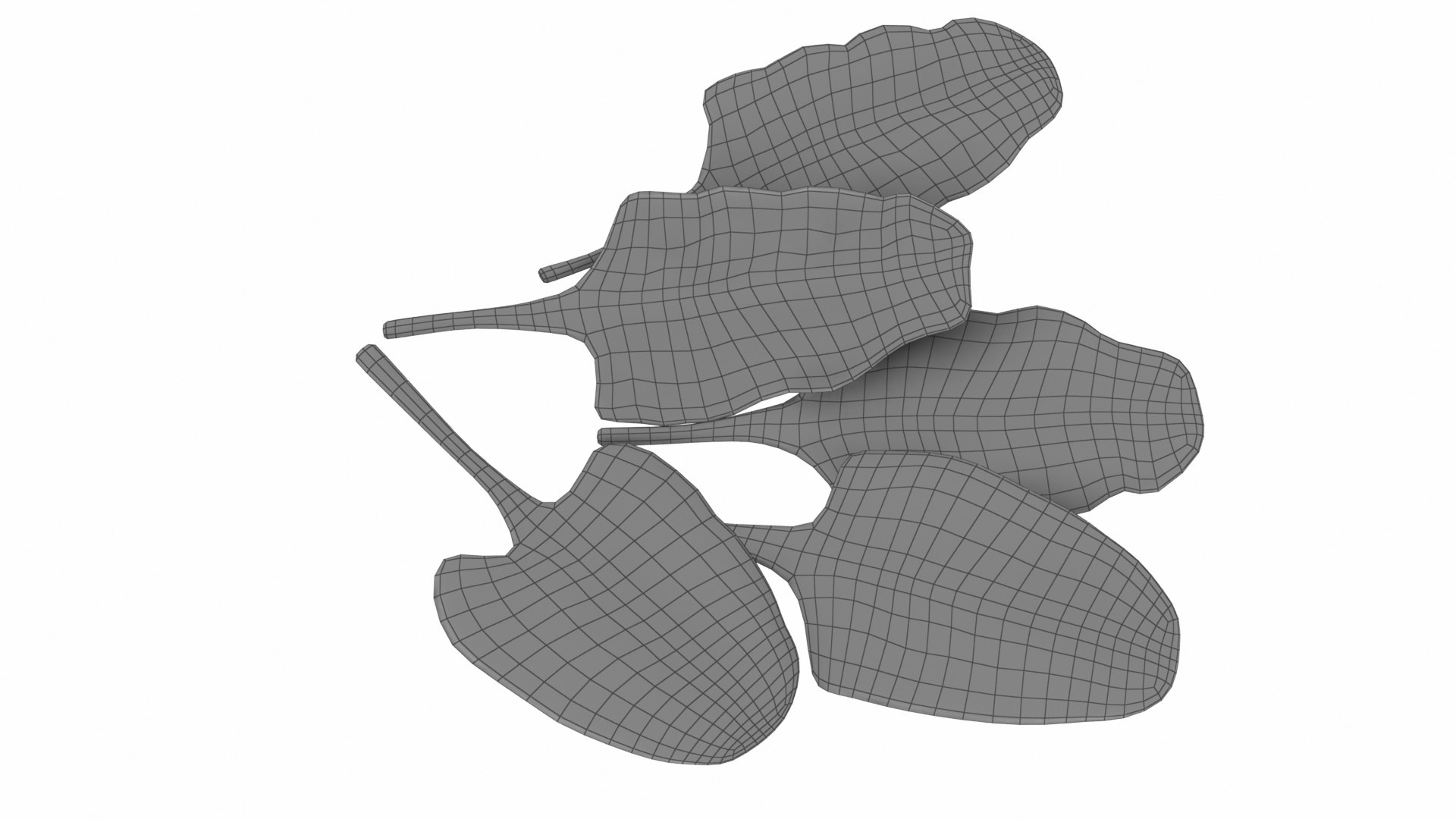 3D Chard model https://p.turbosquid.com/ts-thumb/hv/5fzSTW/qI/chard12/jpg/1768518352/1920x1080/fit_q87/3dee331b44c58d9908695cb1717420f143a6c2e9/chard12.jpg
