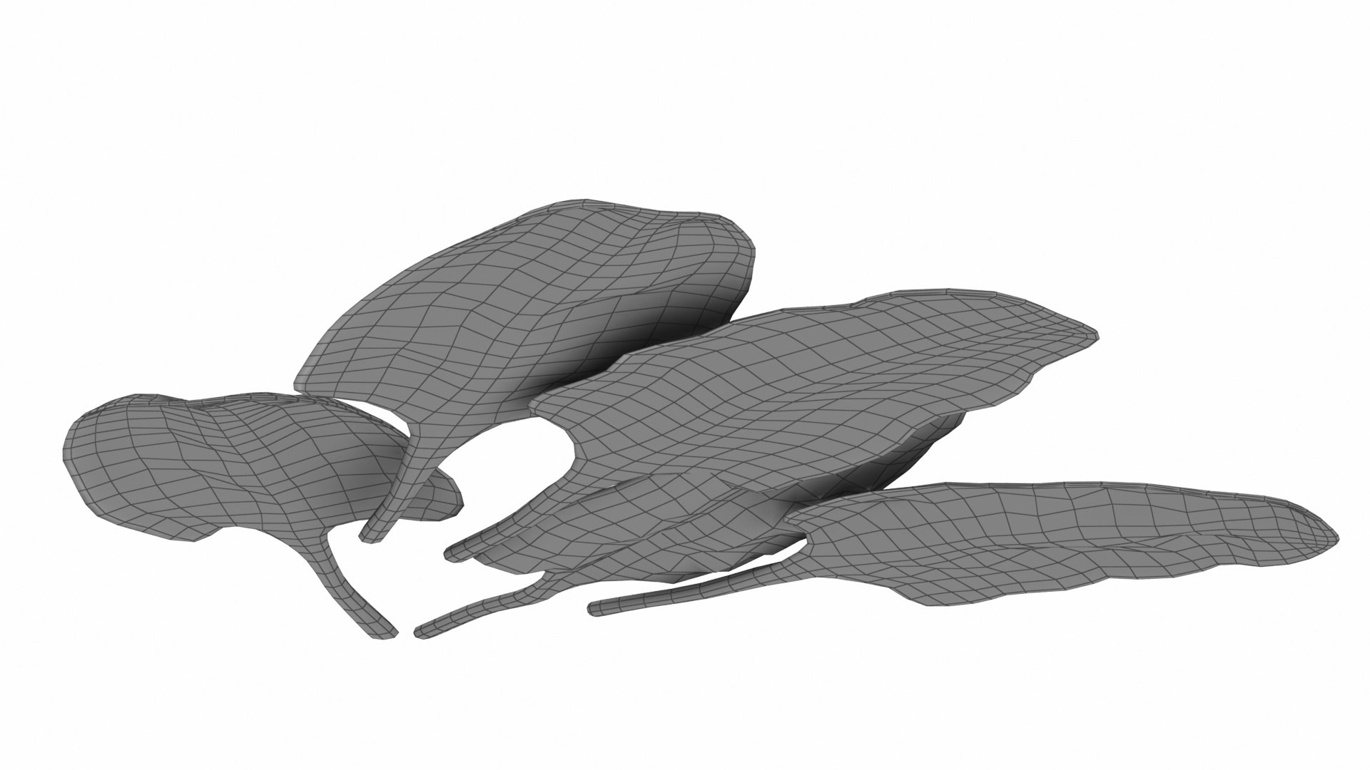 3D Chard model https://p.turbosquid.com/ts-thumb/hv/5fzSTW/vn/chard13/jpg/1768518353/1920x1080/fit_q87/b7ca1099a9ccd7a561b8a51809f9931739c3df81/chard13.jpg