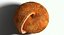 Snail Shell Realistic