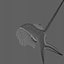 Snail Shell Realistic