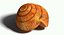 Snail Shell Realistic
