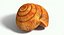Snail Shell Realistic