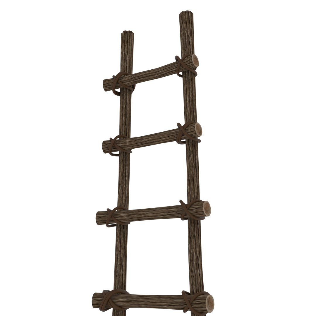 3D Model Cartoon Wood Ladder - TurboSquid 1499154