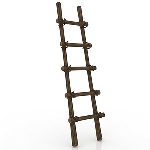 Wood ladder
