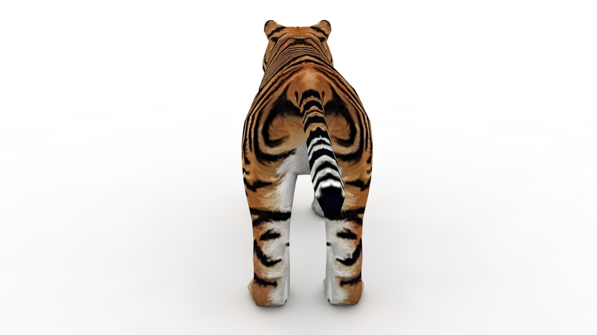 3D Tiger https://p.turbosquid.com/ts-thumb/hv/iYIqcE/0F/dfs0002/jpg/1644340312/1920x1080/fit_q87/615abf7881a0305ffd0c3cbbc85fc0b7cb3457fc/dfs0002.jpg