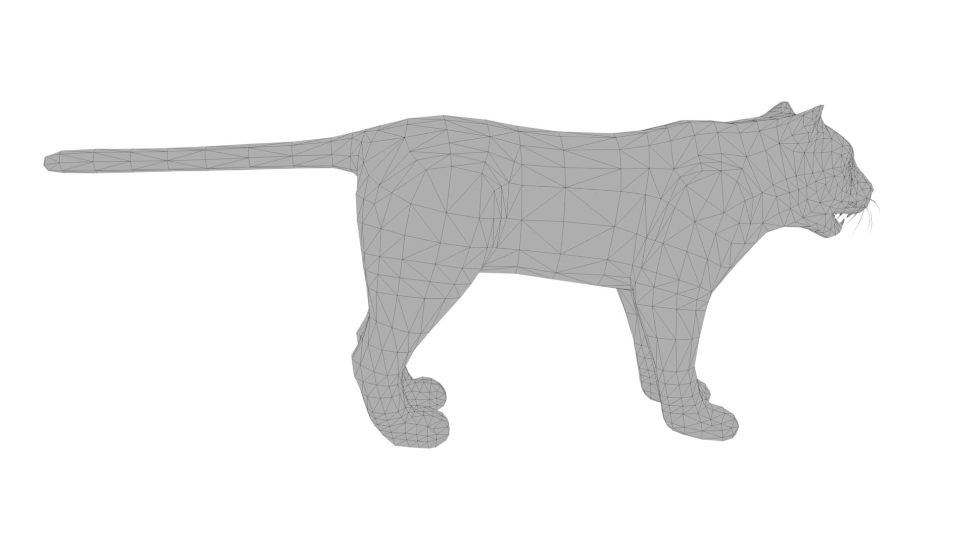 3D Tiger https://p.turbosquid.com/ts-thumb/hv/iYIqcE/a7/dfs0008/jpg/1644340315/1920x1080/fit_q87/95acdf5647d36c2ad31abd07bef0995cb82293ac/dfs0008.jpg