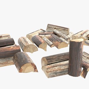 3D logs model