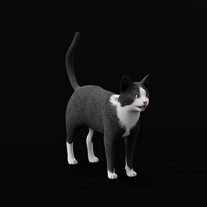 3D Tuxedo Bicolor Cat