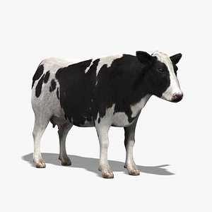 3ds max cow holstein cattle