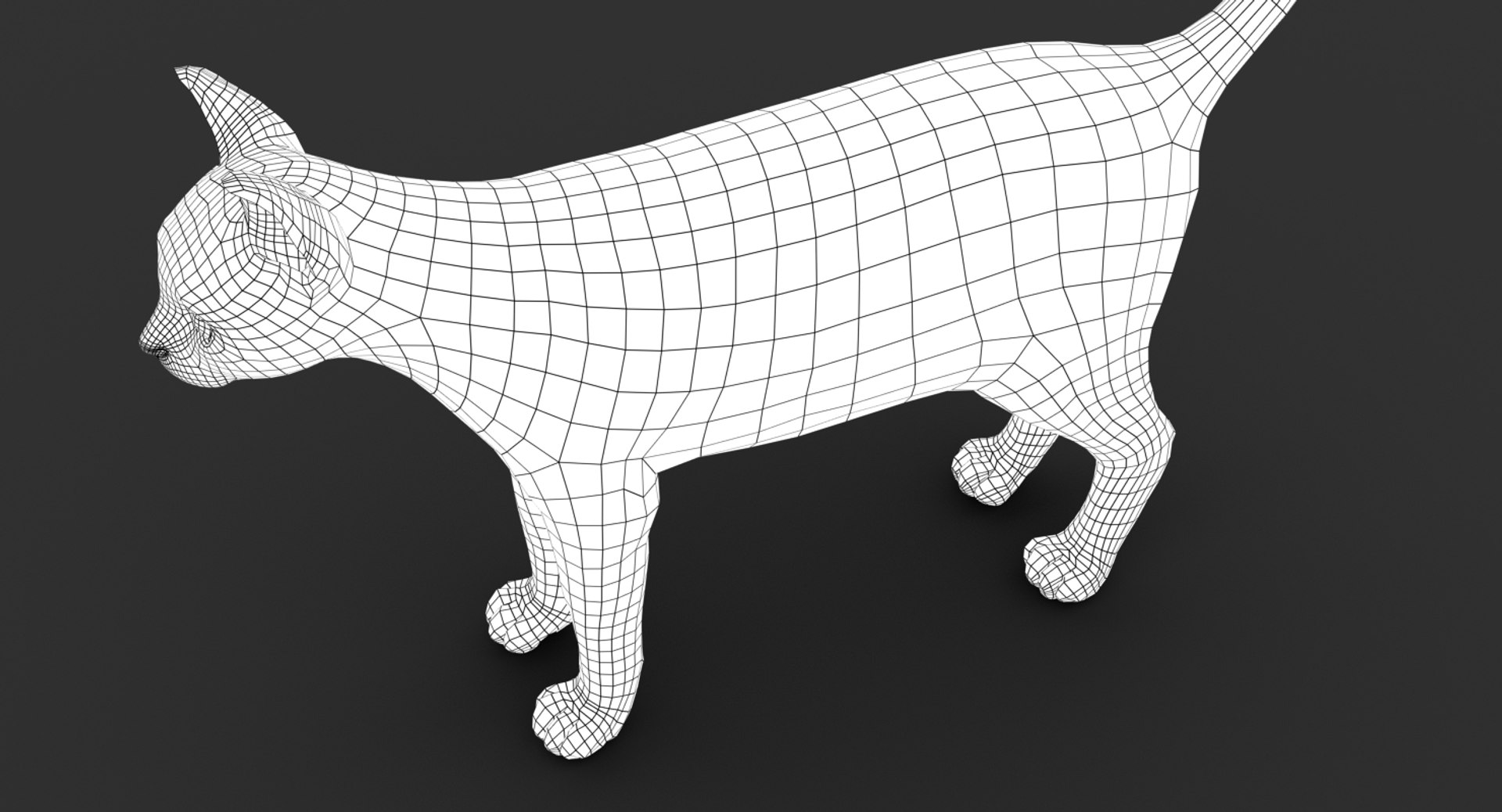 cat animation 3D model https://p.turbosquid.com/ts-thumb/hw/BRwNfl/0U0zOSYe/wire09/jpg/1537057895/1920x1080/fit_q87/9ebc021f0acea5e9e93fa95cb65ae246385ceeee/wire09.jpg