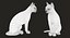 猫（2）（黑色）（动画）（FUR）