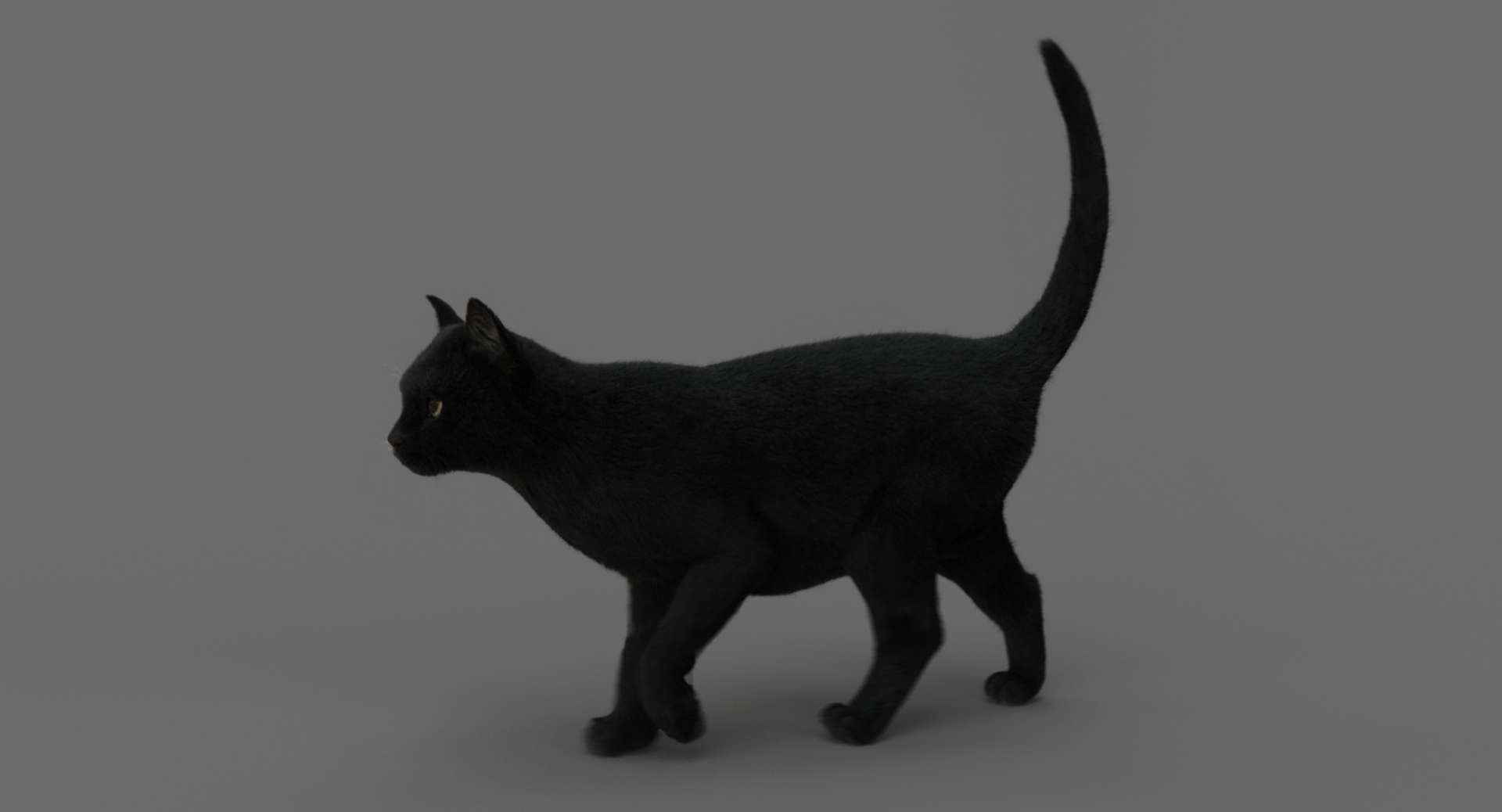 cat animation 3D model https://p.turbosquid.com/ts-thumb/hw/BRwNfl/6Vs4lipF/walk/jpg/1537059345/1920x1080/turn_fit_q99/9f782f0e00203ca6ec060ee641f719b9f55e8fcb/walk-1.jpg