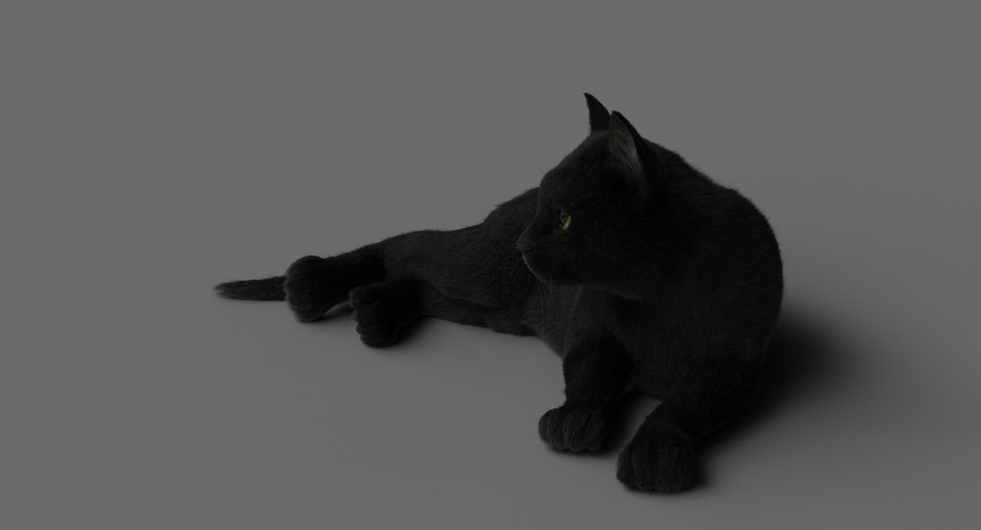 cat animation 3D model https://p.turbosquid.com/ts-thumb/hw/BRwNfl/A30Gc96J/laid04/jpg/1537057766/1920x1080/fit_q87/880e79d518147123453ee7e96acb632087cdc83a/laid04.jpg