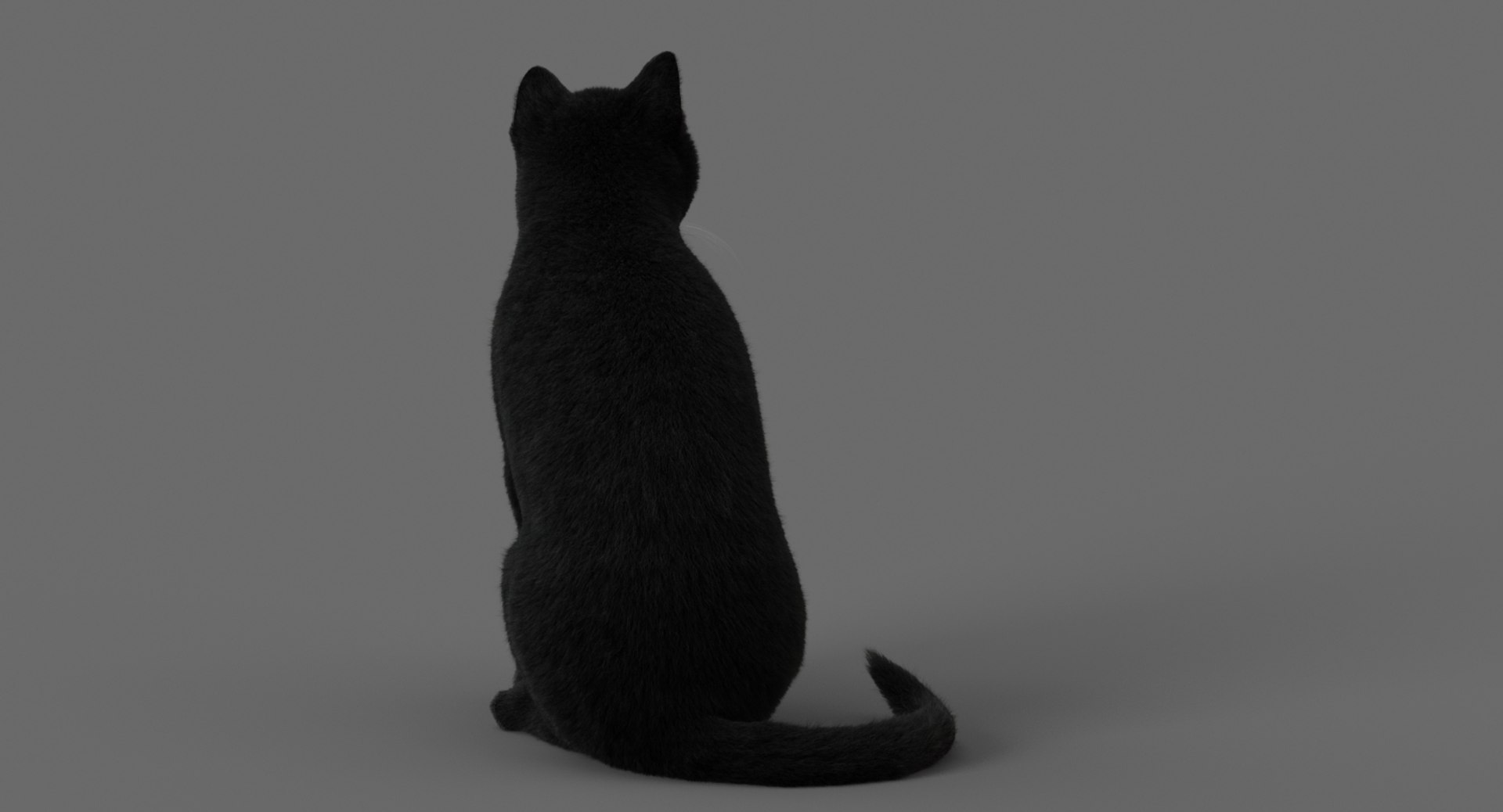 cat animation 3D model https://p.turbosquid.com/ts-thumb/hw/BRwNfl/CioMsnAK/sit9622/jpg/1537057510/1920x1080/fit_q87/41a67cd4d67a8f79b7b9a1ea6c089715756e7cdd/sit9622.jpg