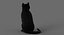 猫（2）（黑色）（动画）（FUR）