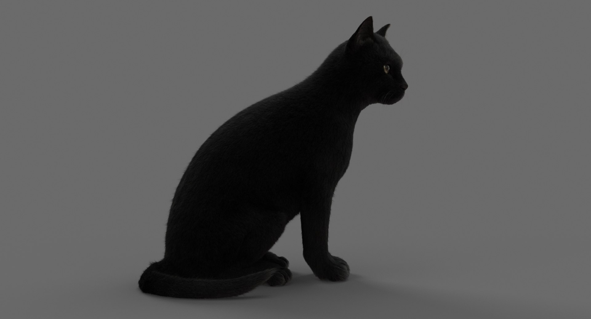 cat animation 3D model https://p.turbosquid.com/ts-thumb/hw/BRwNfl/GEVXTL2q/sit9612/jpg/1537057509/1920x1080/fit_q87/46ce9d890e2f09e6c64832fff05a3ca4588722bc/sit9612.jpg