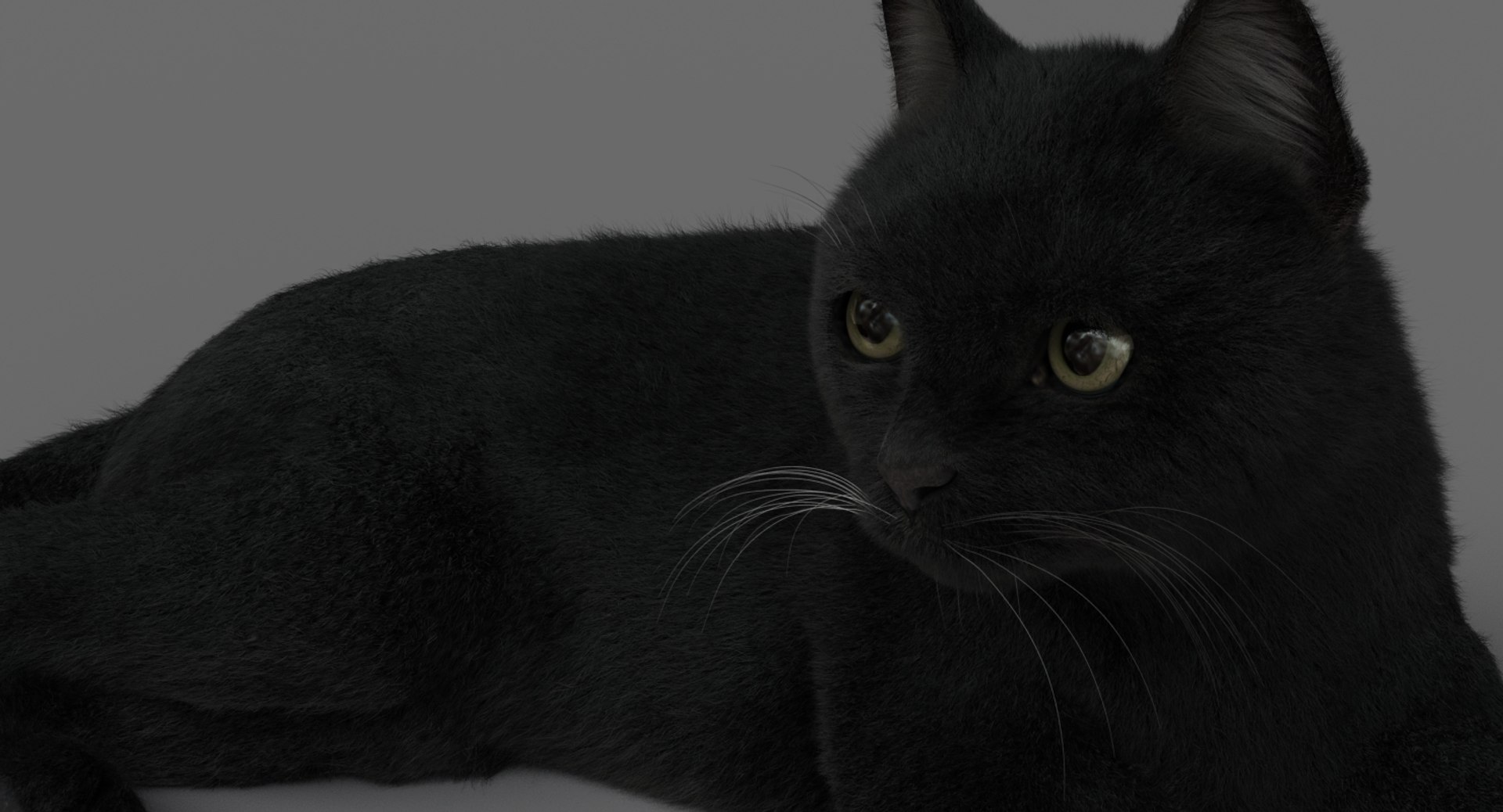 cat animation 3D model https://p.turbosquid.com/ts-thumb/hw/BRwNfl/Ia4yhsnq/laid02/jpg/1537057509/1920x1080/fit_q87/1590bd09cf1d341465289d5b32b14c7ea75a2b66/laid02.jpg