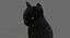 猫（2）（黑色）（动画）（FUR）