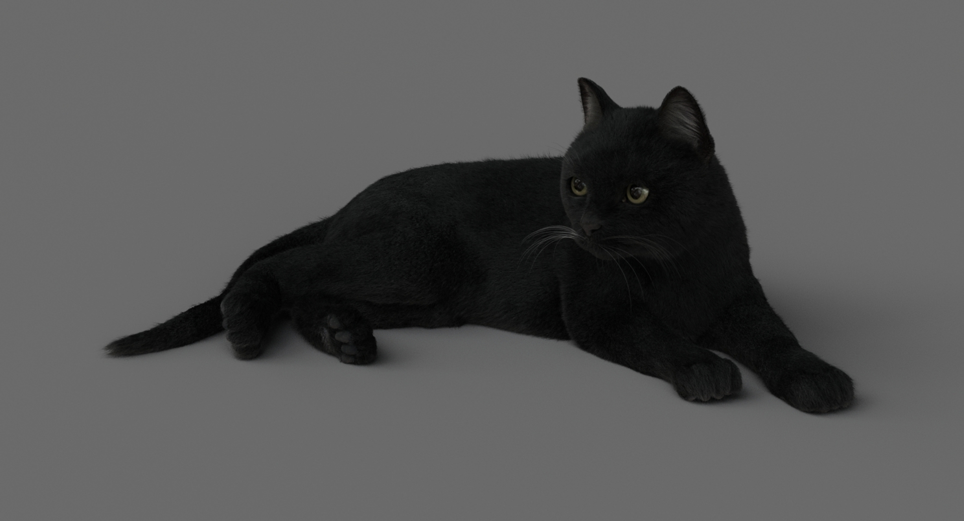 cat animation 3D model https://p.turbosquid.com/ts-thumb/hw/BRwNfl/VWJCoxMJ/laid/jpg/1537058531/1920x1080/turn_fit_q99/3ee00332bd943dc64d386434dbf70b752ad2509e/laid-1.jpg