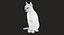 猫（2）（黑色）（动画）（FUR）